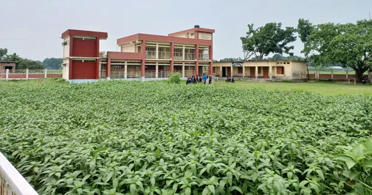 ব্যক্তি মালিকানার জমিতে বিদ্যালয়ের সীমানাপ্রাচীর